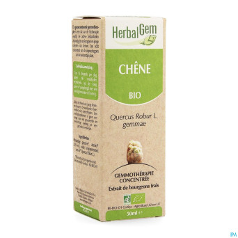 Herbalgem chene    macerat 50ml