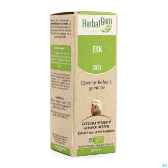 Herbalgem chene    macerat 50ml