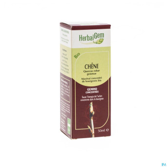 Herbalgem chene    macerat 50ml