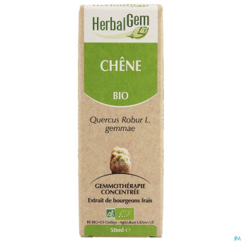 Herbalgem chene    macerat 50ml