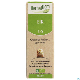 Herbalgem chene    macerat 50ml