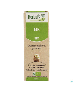 Herbalgem chene    macerat 50ml