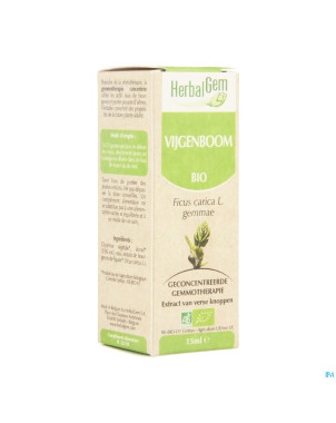 Herbalgem figuier    macerat 15ml