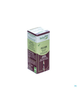 Herbalgem figuier    macerat 15ml