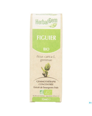 Herbalgem figuier    macerat 15ml