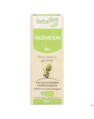 Herbalgem figuier    macerat 15ml