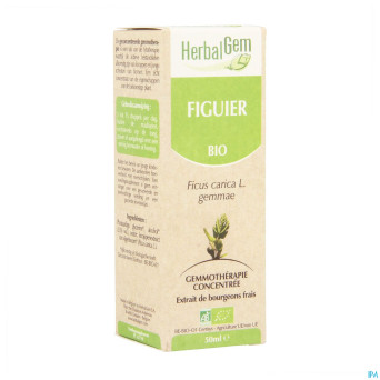 Herbalgem figuier    macerat 50ml