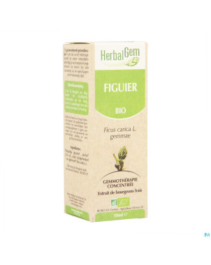 Herbalgem figuier    macerat 50ml