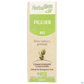 Herbalgem figuier    macerat 50ml