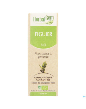 Herbalgem figuier    macerat 50ml