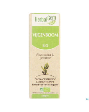 Herbalgem figuier    macerat 50ml