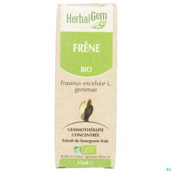 Herbalgem frene    macerat 15ml