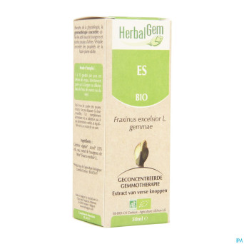 Herbalgem frene    macerat 50ml