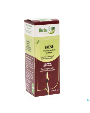 Herbalgem frene    macerat 50ml