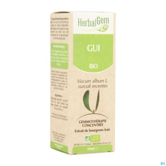 Herbalgem gui    macerat 50ml