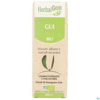 Herbalgem gui    macerat 50ml