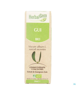 Herbalgem gui    macerat 50ml