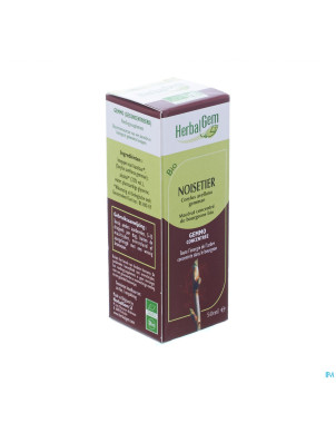 Herbalgem noisetier    macerat 50ml