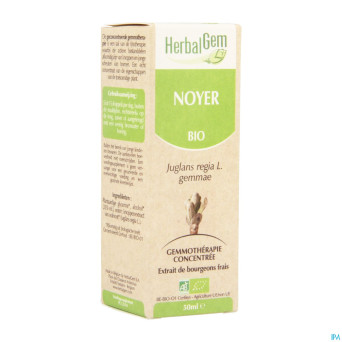 Herbalgem noyer    macerat 50ml