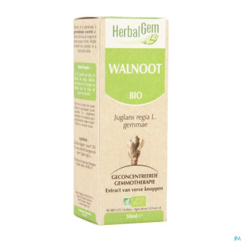 Herbalgem noyer    macerat 50ml