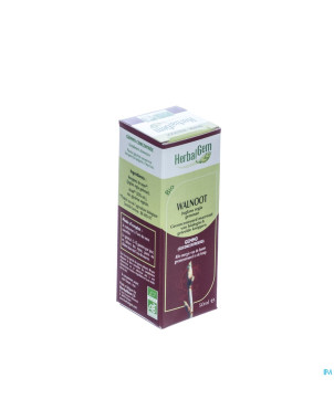 Herbalgem noyer    macerat 50ml
