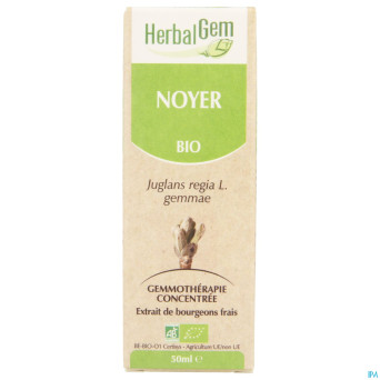 Herbalgem noyer    macerat 50ml