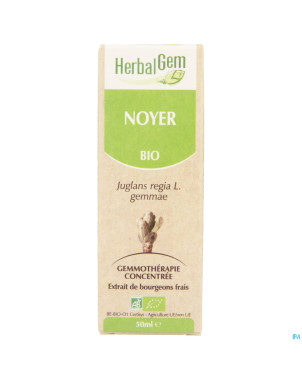Herbalgem noyer    macerat 50ml