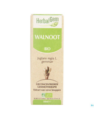 Herbalgem noyer    macerat 50ml