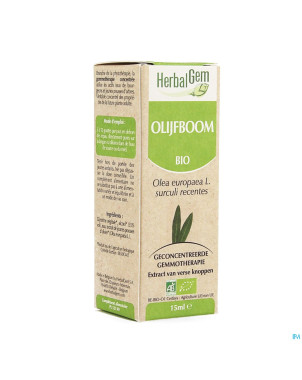 Herbalgem olivier    macerat 15ml