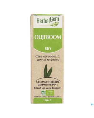 Herbalgem olivier    macerat 15ml