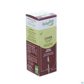 Herbalgem olivier    macerat 50ml