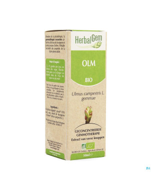 Herbalgem orme    macerat 50ml