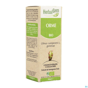 Herbalgem orme    macerat 50ml