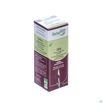 Herbalgem orme    macerat 50ml