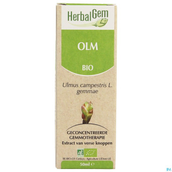 Herbalgem orme    macerat 50ml