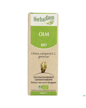 Herbalgem orme    macerat 50ml