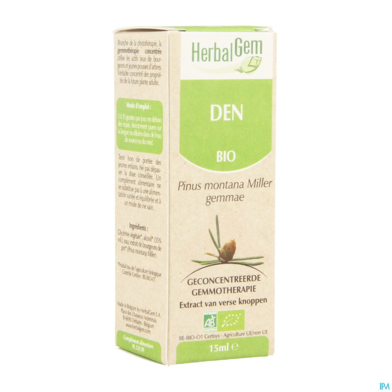Herbalgem pin montagne    macerat 15ml