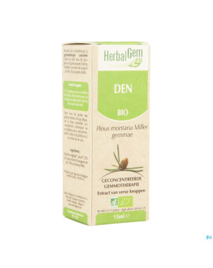 Herbalgem pin montagne    macerat 15ml