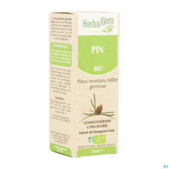 Herbalgem pin montagne    macerat 15ml