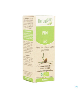 Herbalgem pin montagne    macerat 15ml