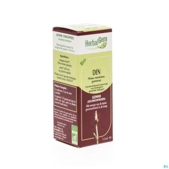 Herbalgem pin montagne    macerat 15ml