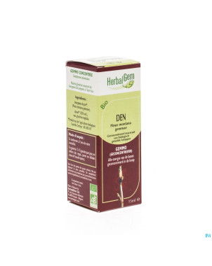 Herbalgem pin montagne    macerat 15ml