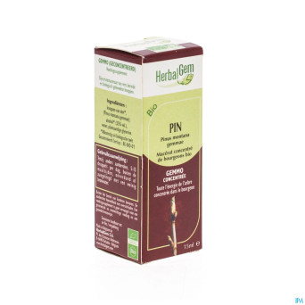 Herbalgem pin montagne    macerat 15ml