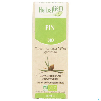 Herbalgem pin montagne    macerat 15ml