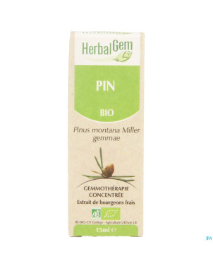 Herbalgem pin montagne    macerat 15ml