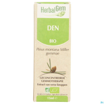 Herbalgem pin montagne    macerat 15ml