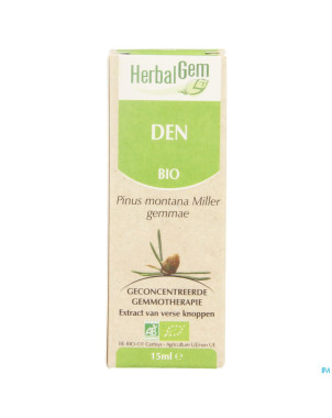 Herbalgem pin montagne    macerat 15ml
