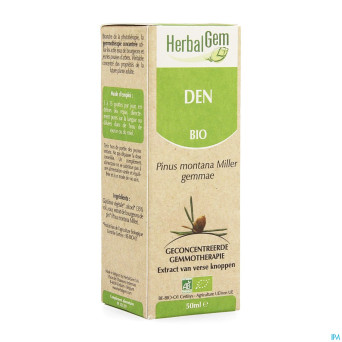 Herbalgem pin montagne    macerat 50ml