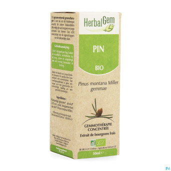 Herbalgem pin montagne    macerat 50ml