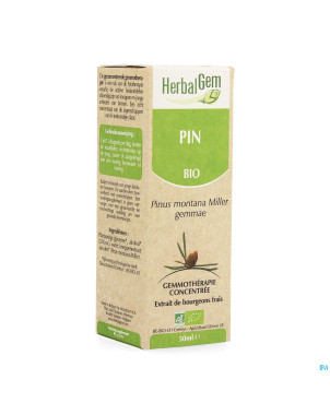 Herbalgem pin montagne    macerat 50ml